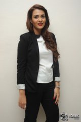 Nee Jathaga Nenundali Movie Platinum Disc Function